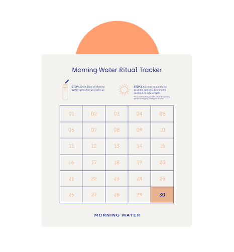 30-Day Challenge trackerfor success